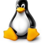 Installatie, configuratie en onderhoud van Linux-servers en open-source oplossingen.