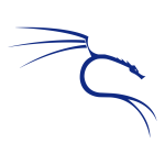Uitvoeren van penetratietests en security-assessments met Kali Linux.